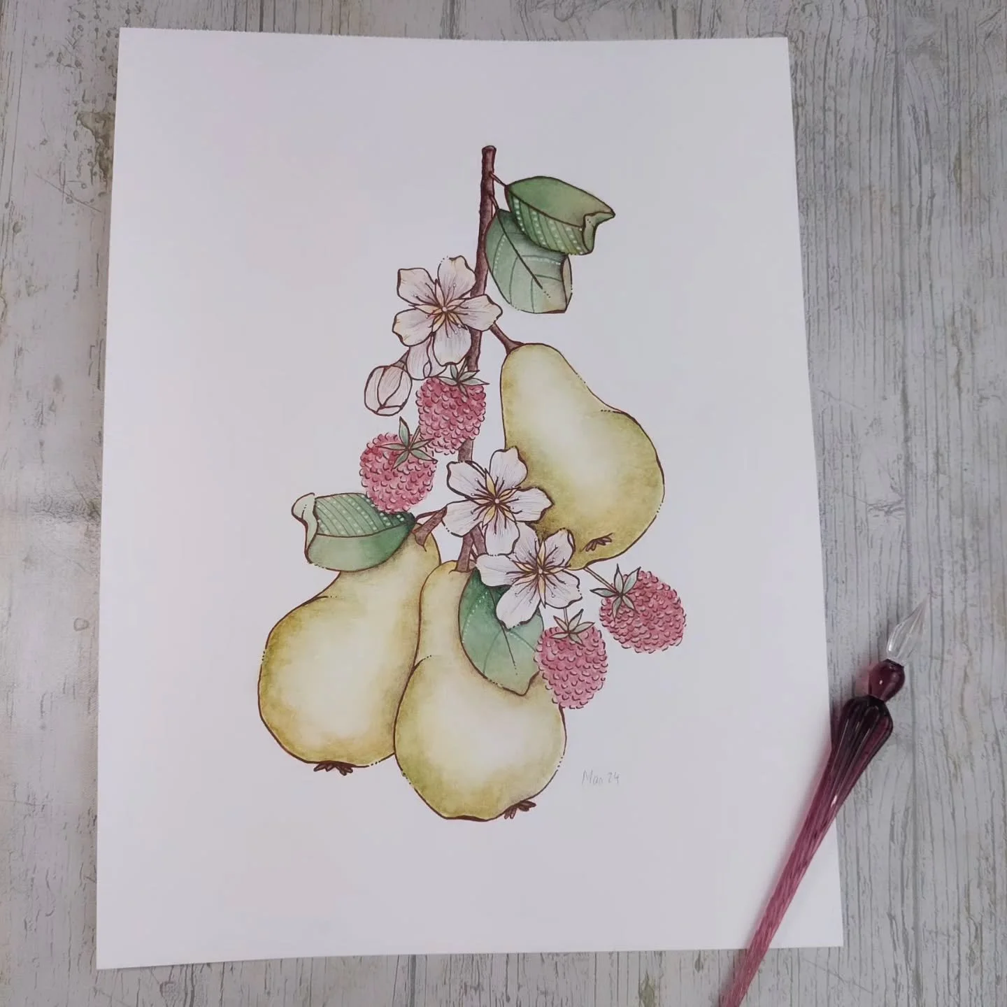 Composici&oacute;n original de peras y frambuesas resultado del curso Diario de Dibujo de @cristinacilloniz.

#acuarelabotanica
