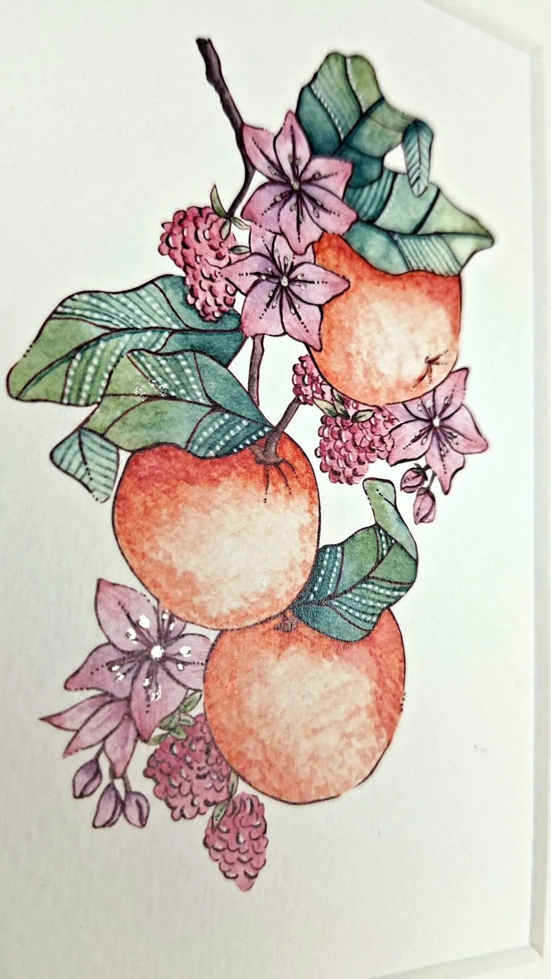 Lamina-Naranja-A6_03.jpg