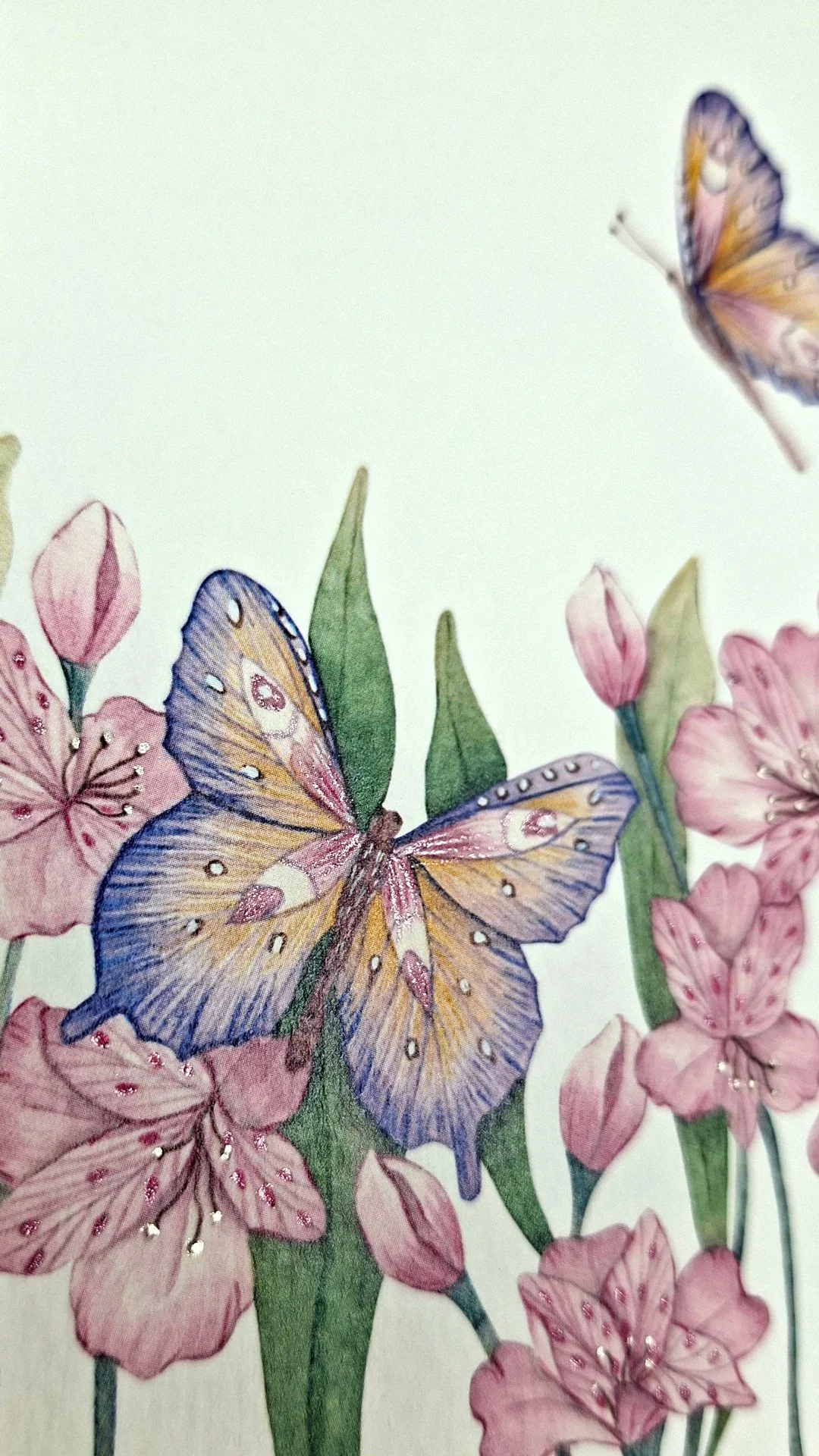 Lamina-Flores-y-Mariposa-10x15-cm_02_06.jpg
