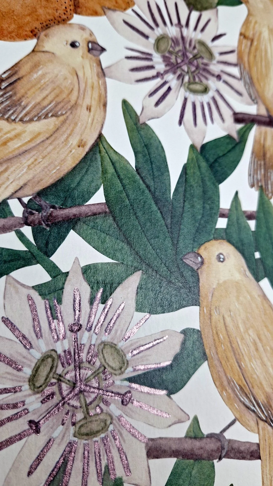 Lamina-Pajaros-A4_06.jpg