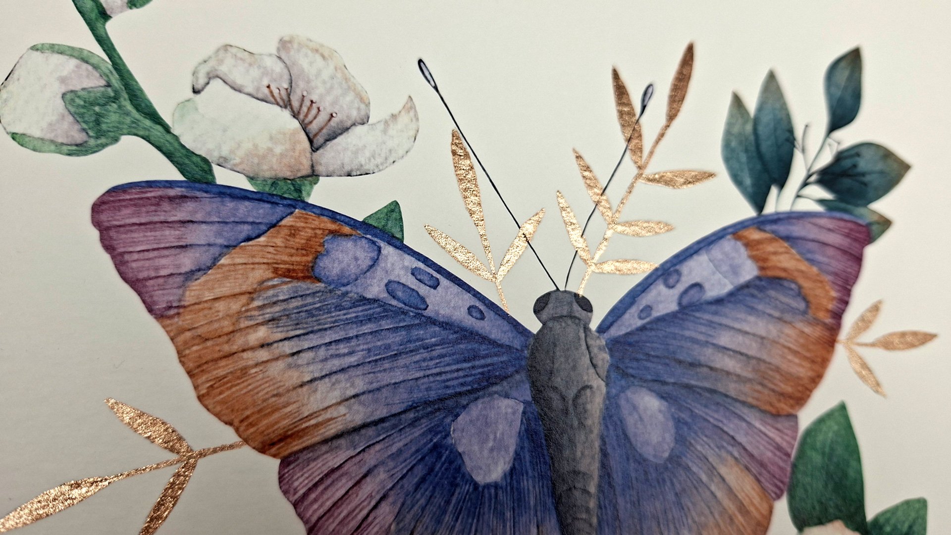 Lamina-Mariposa-A4_06.jpg