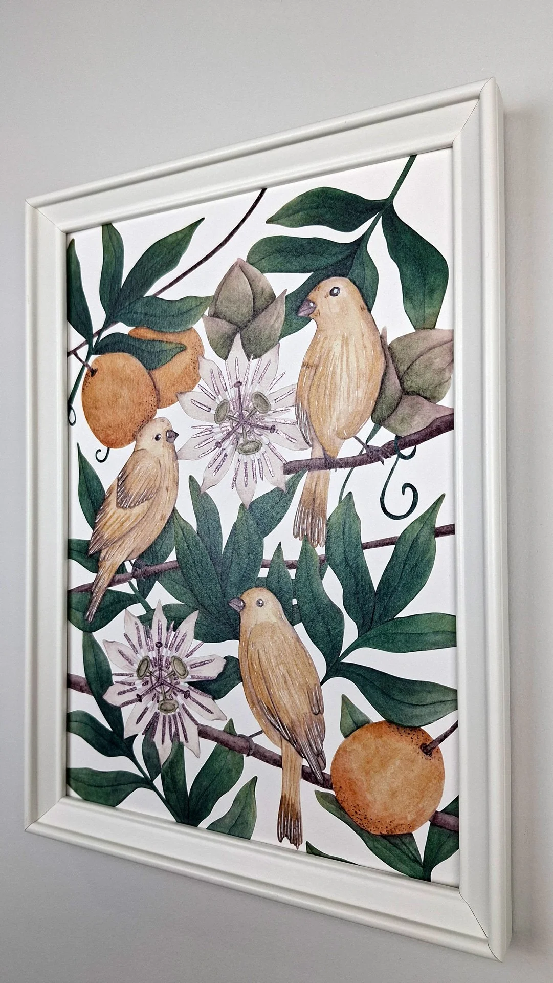 Lamina-Pajaros-A4_04.jpg