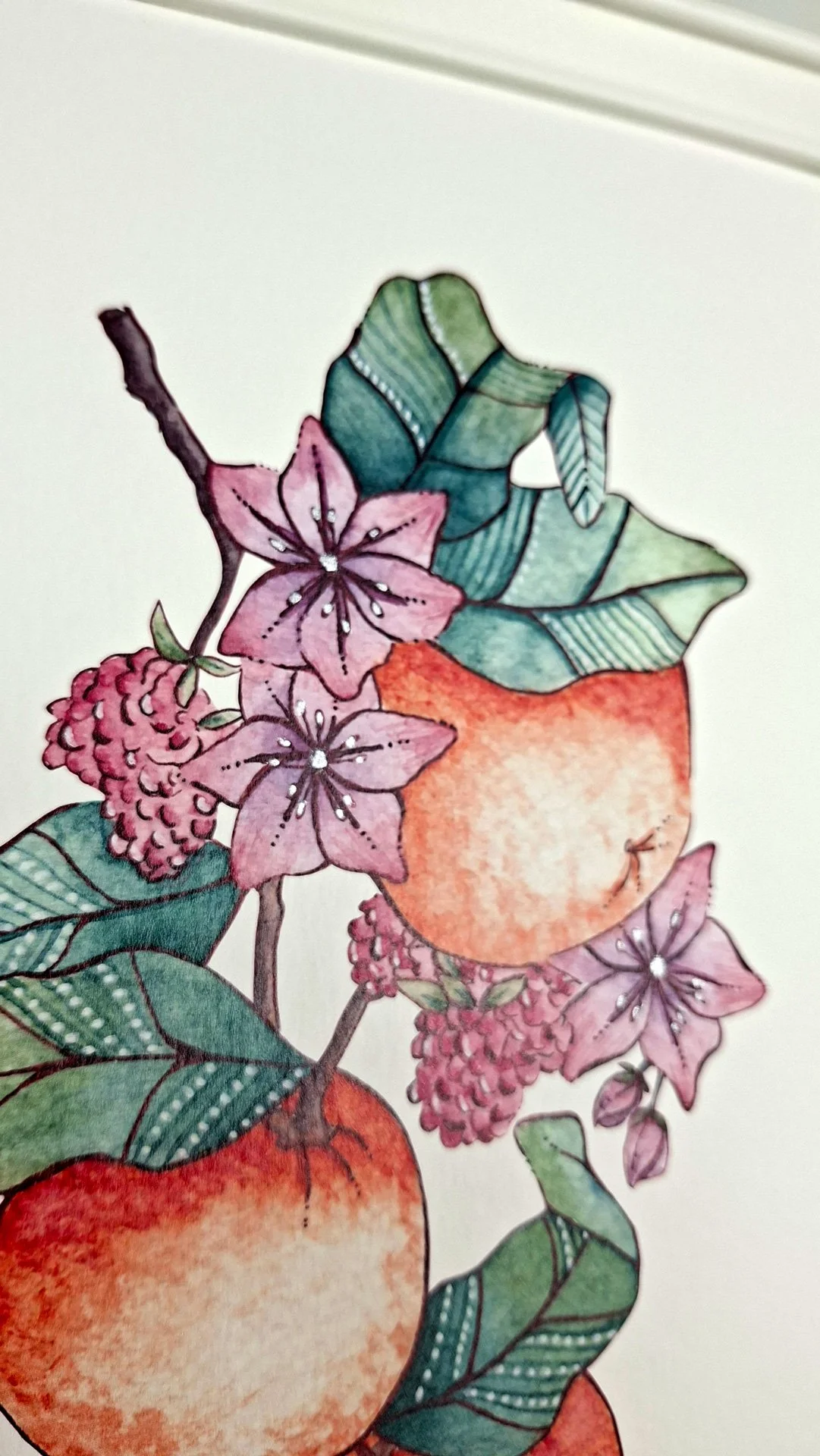 Lamina-Naranja-A4_05.jpg