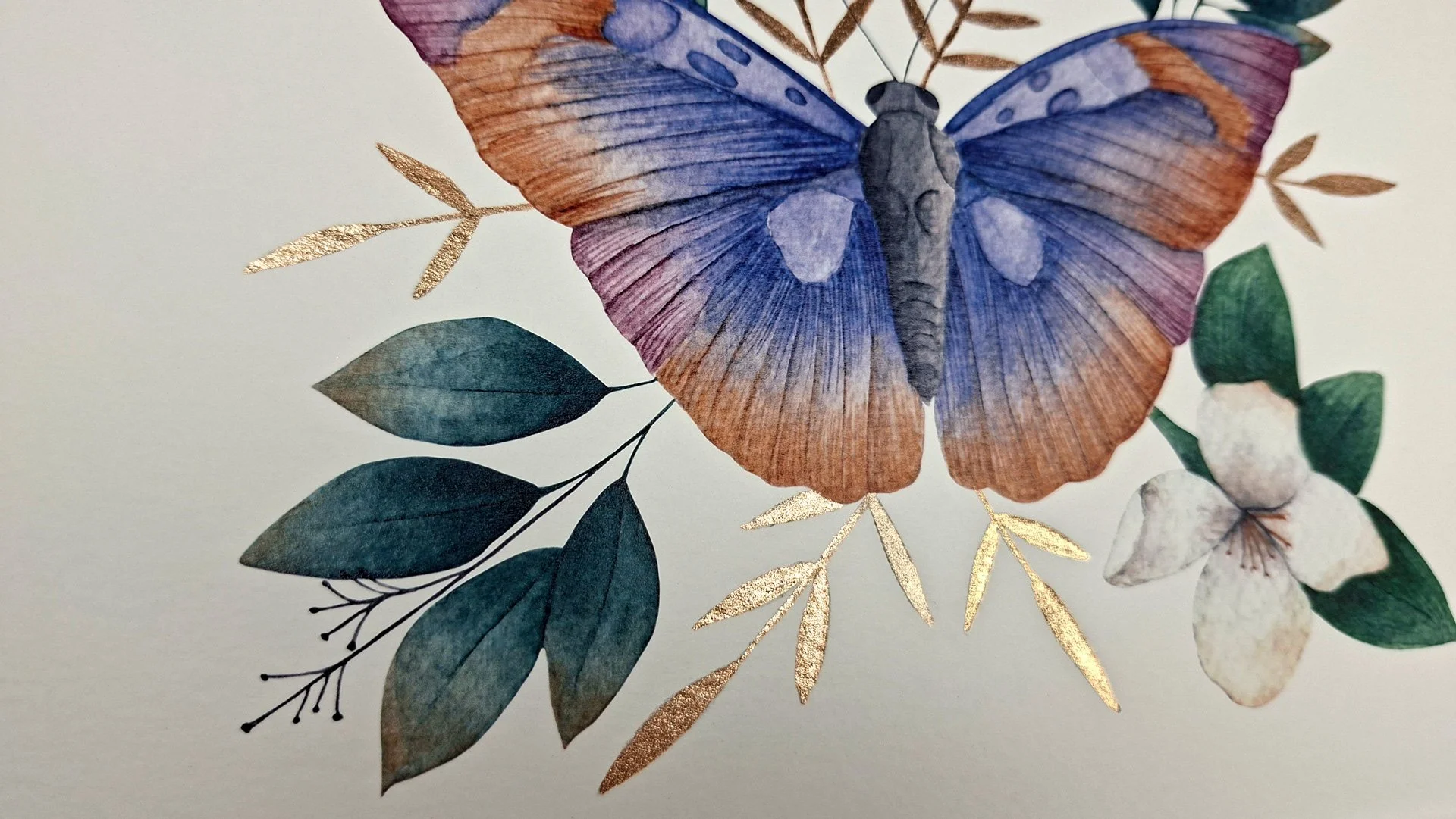 Lamina-Mariposa-A4_05.jpg