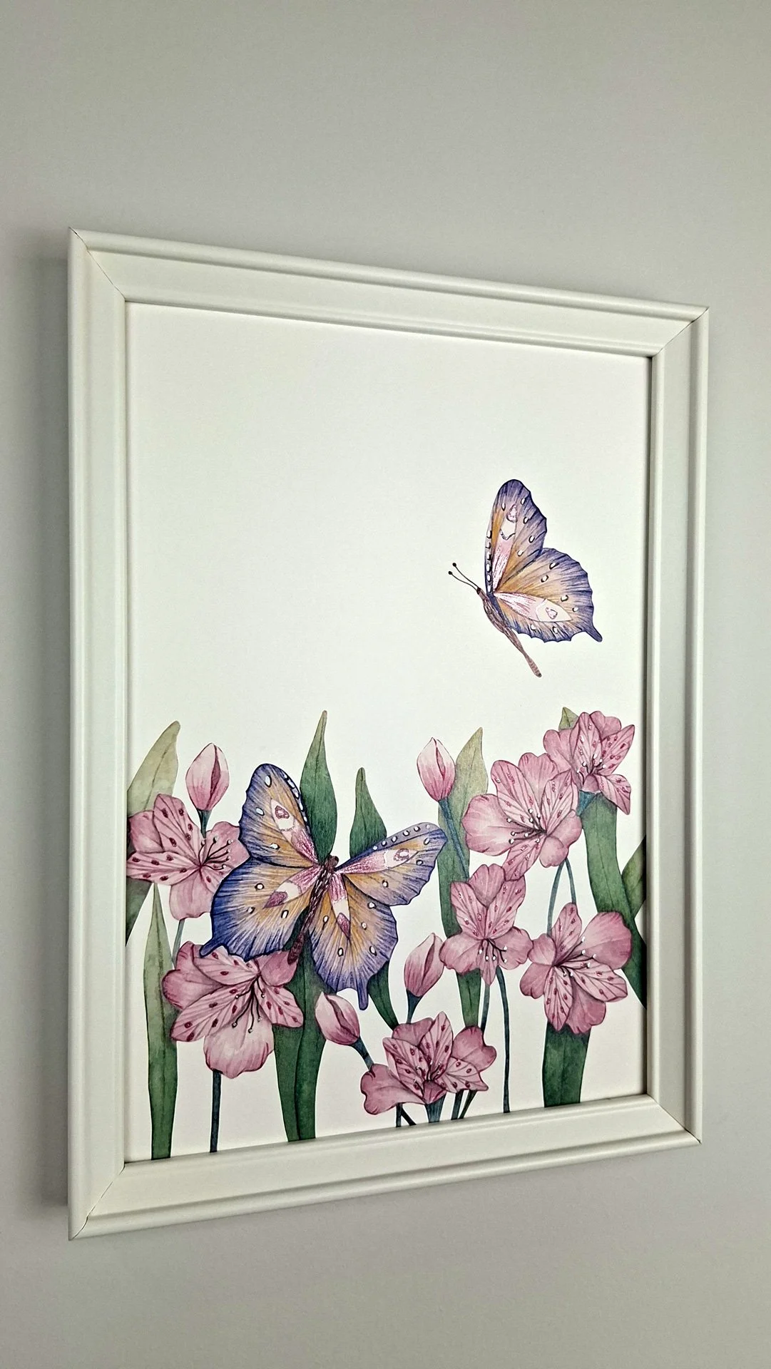 Lamina Flores y Mariposa A4_01_07.jpg