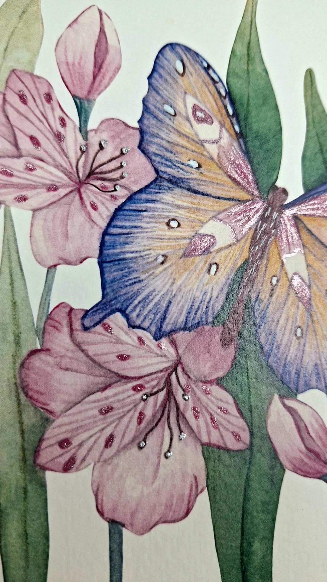 Lamina Flores y Mariposa A4_01_11.jpg