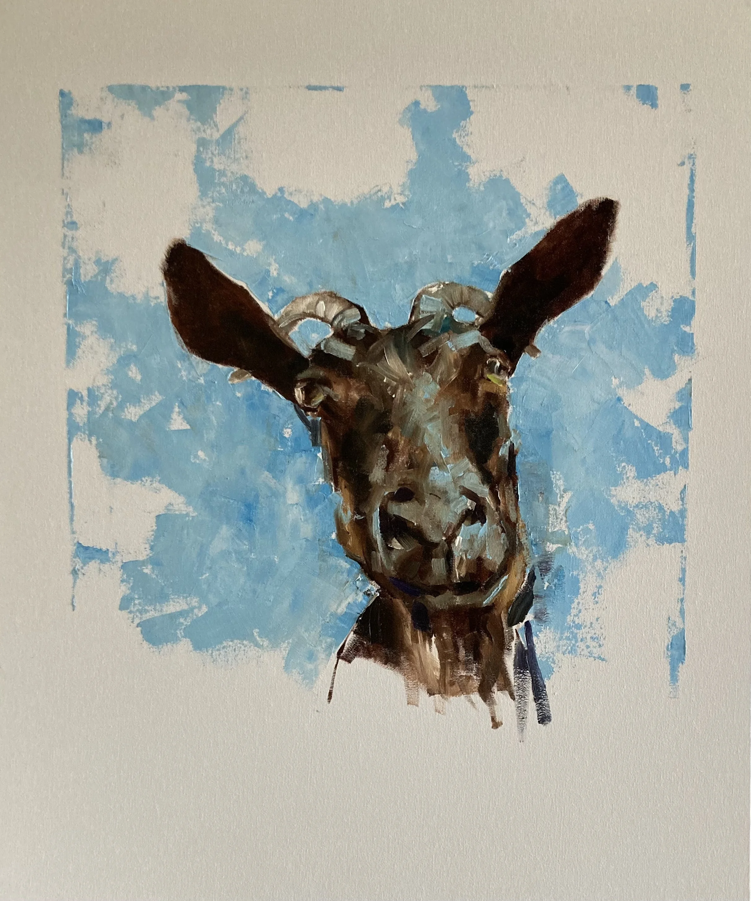 Goat - M. Franaszczuk