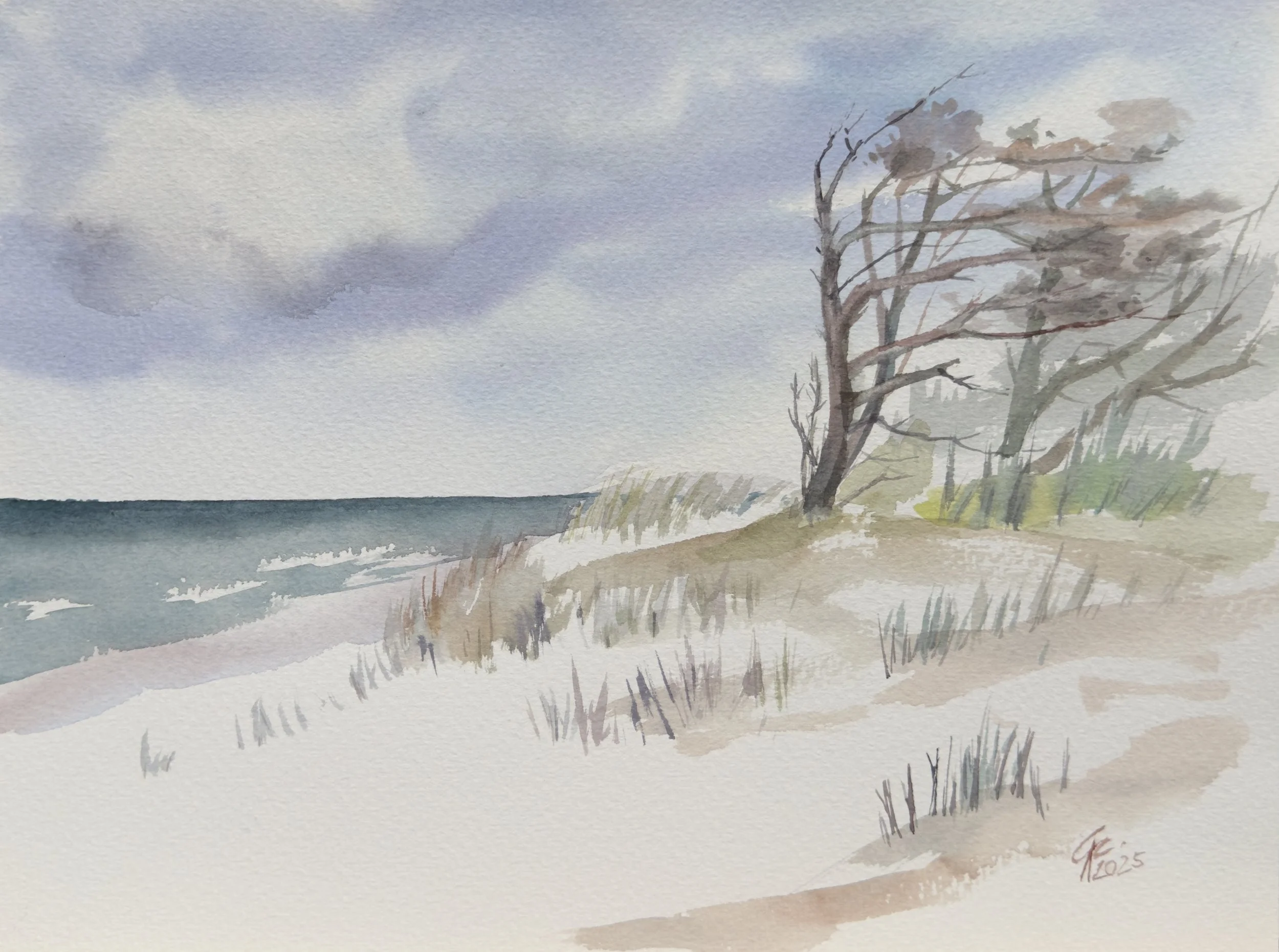 Wydmy w Łebie - A. Czerwińska