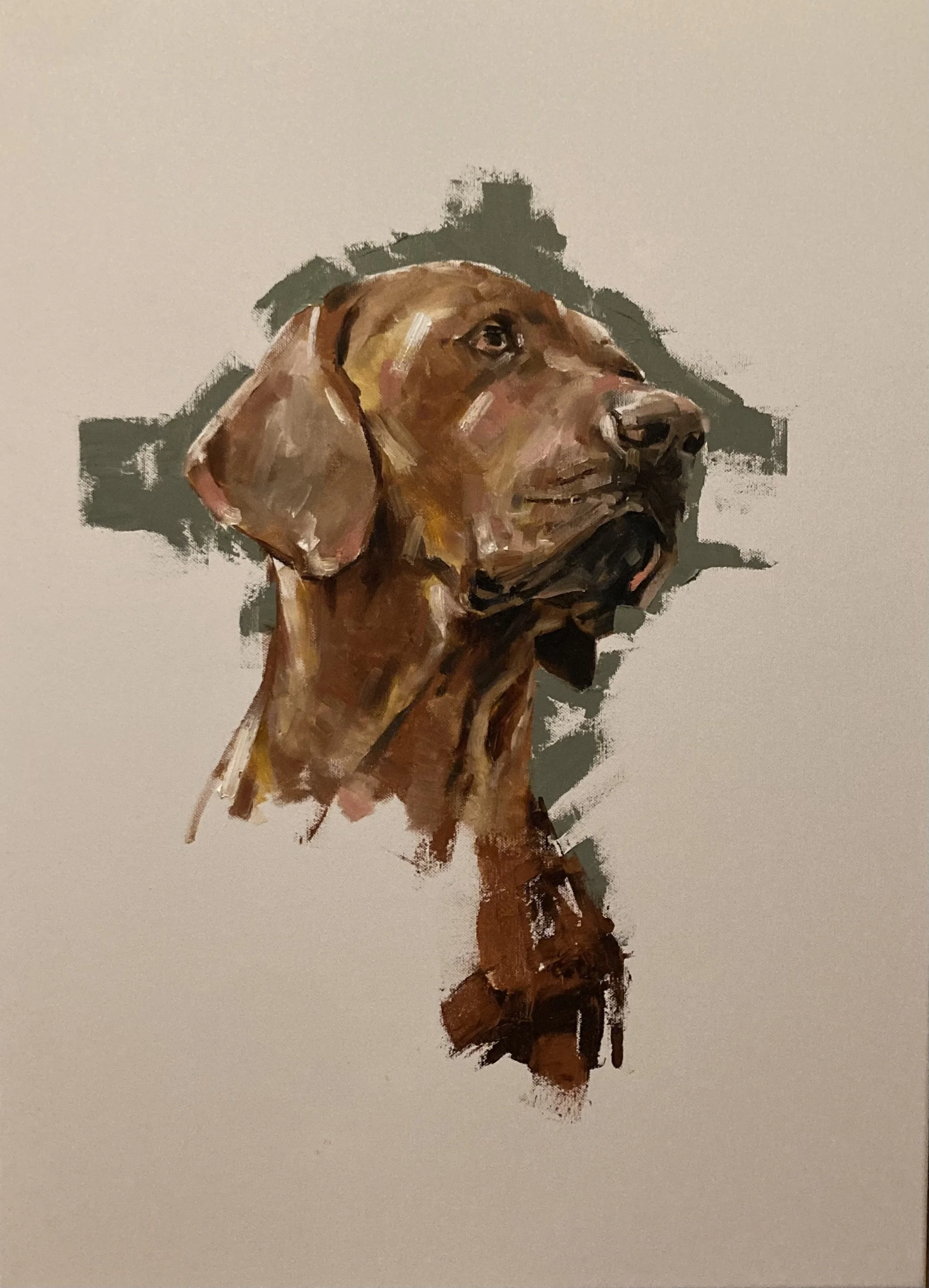 Rhodesian Ridgeback - M. Franaszczuk