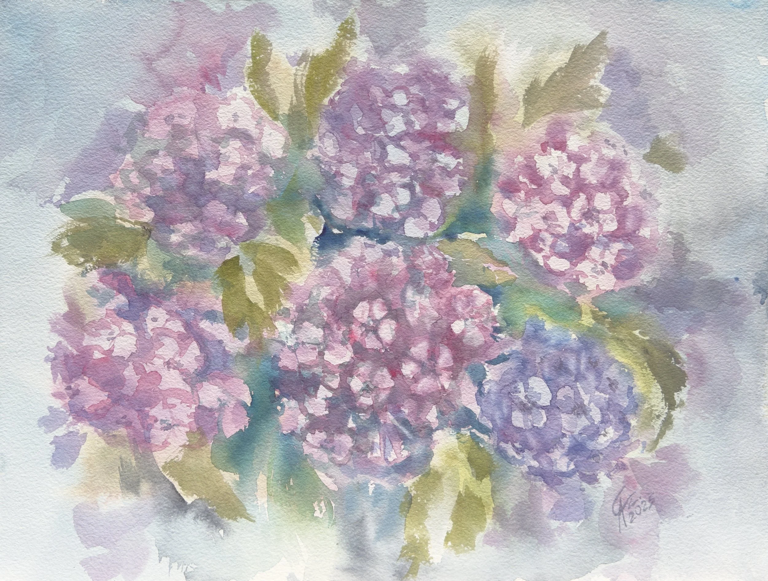 Hortensje A. Czerwińska