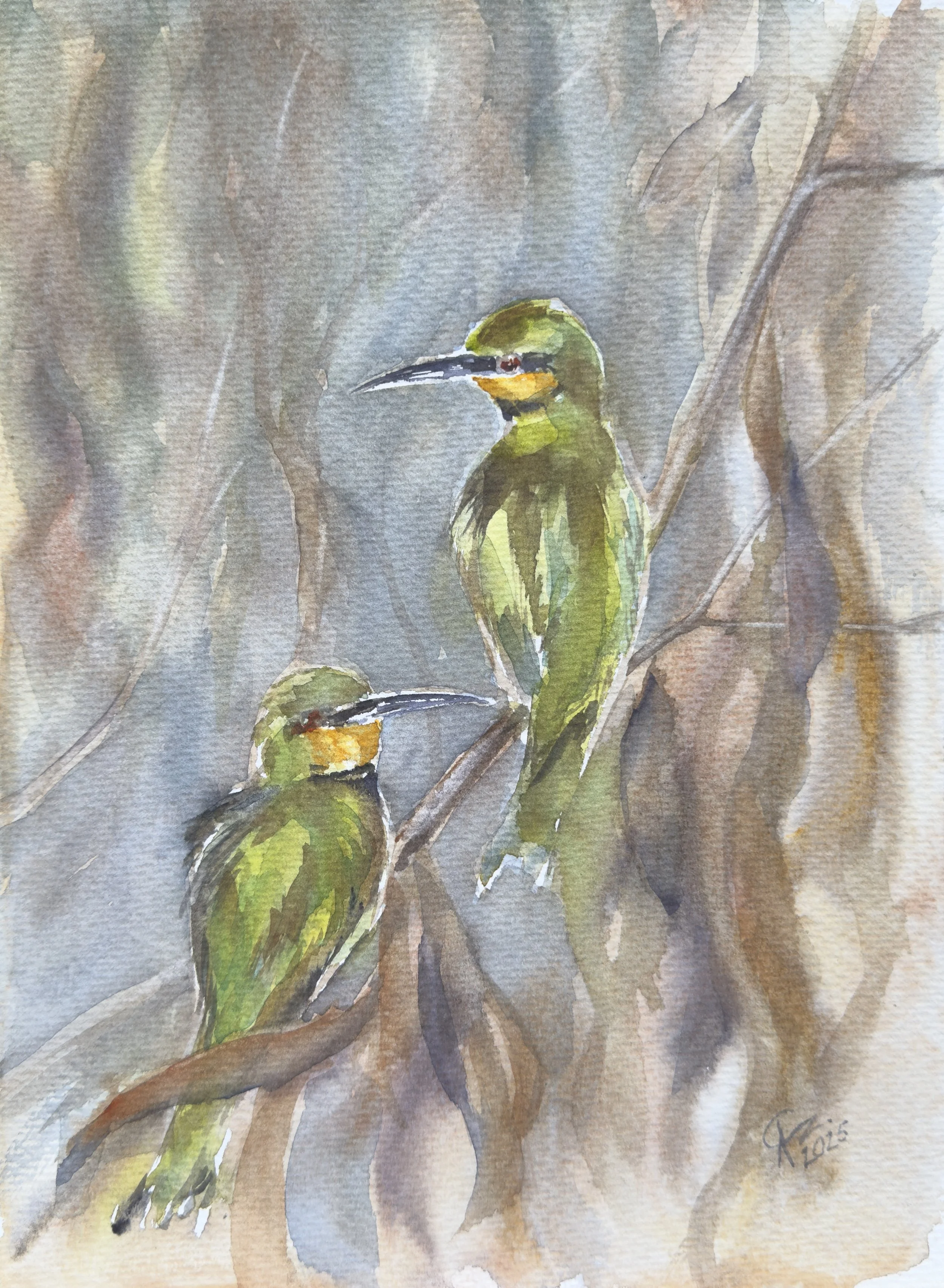 Żołny - A. Czerwińska