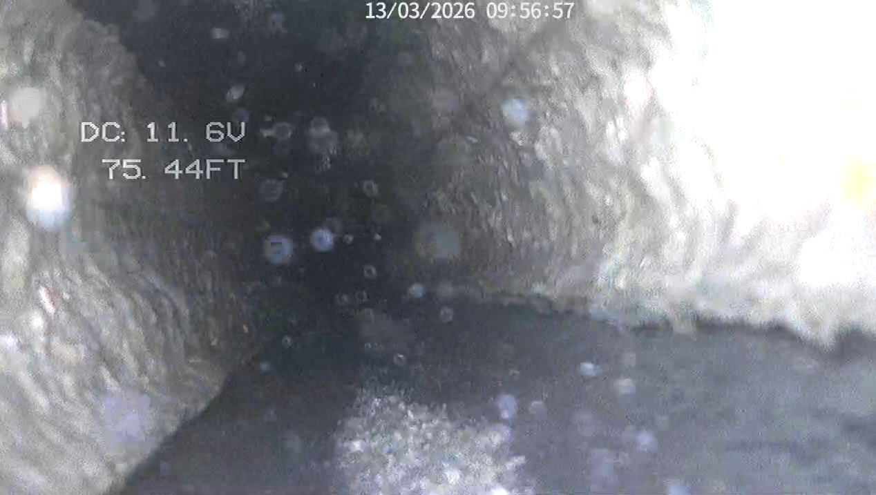 Belly in main sewer line