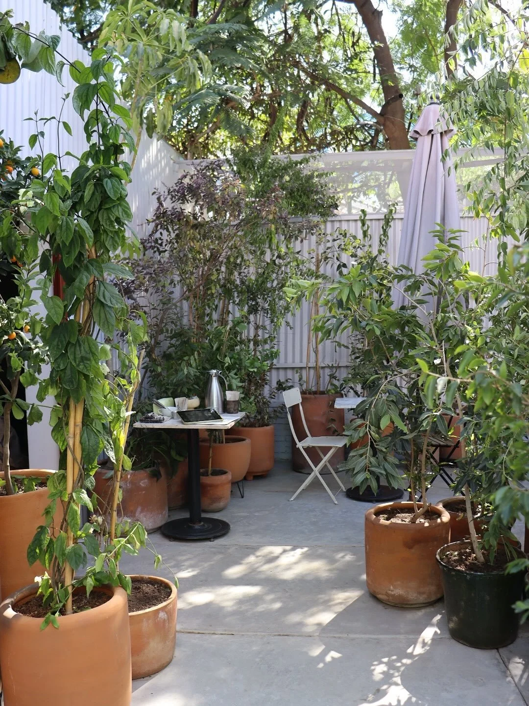 &iexcl;Nuestro garage est&aacute; de regreso! 
Nos fuimos en b&uacute;squeda de muchas plantas para refrescar este espacio que tanto queremos. 

Disfr&uacute;tenlo mucho 🫀🌳🌞 

@todoeverything_