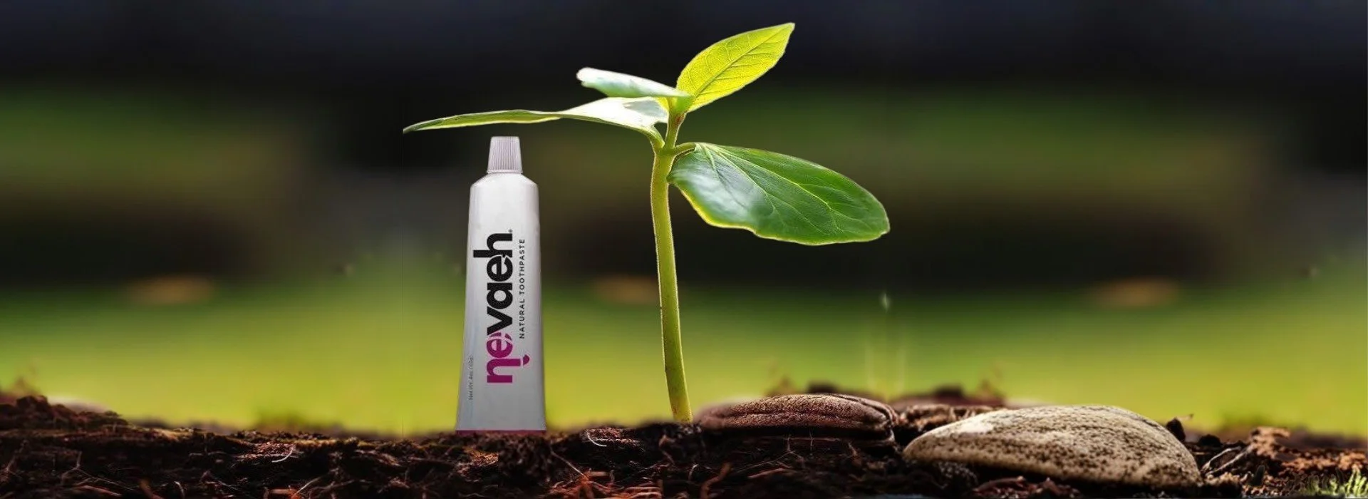A small green plant growing in soil with a tube of toothpaste next to it, symbolizing the idea that toothpaste helps keep teeth healthy like plants need care.