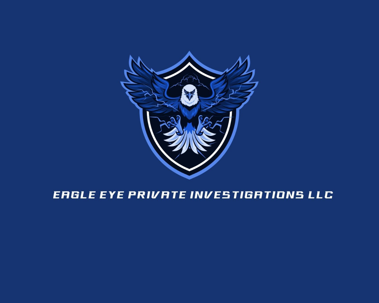Eagle Eye Private  Investigations LLC