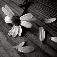 Llegados los treinta, algunos jóvenes creen que ya no lograrán sus objetivos