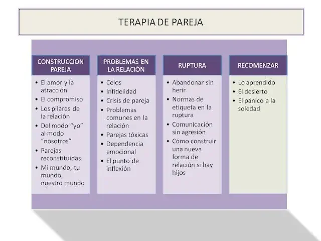 En Terapia de Pareja se trabajan en varios puntos de la relación que pueden estar causando dificultades