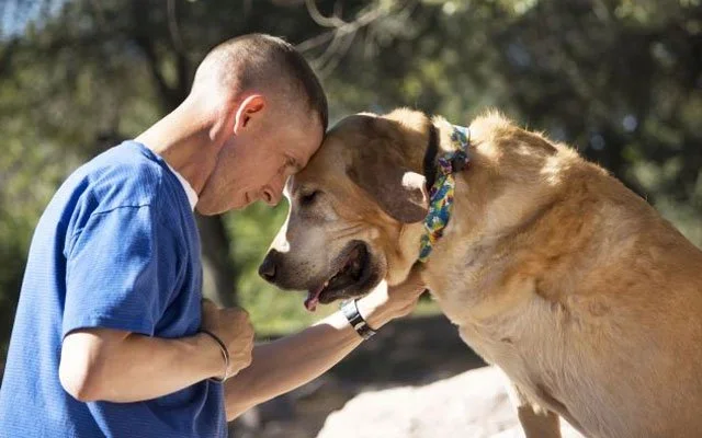 EL DUELO POR UNA MASCOTA, POR UN COMPAÑERO