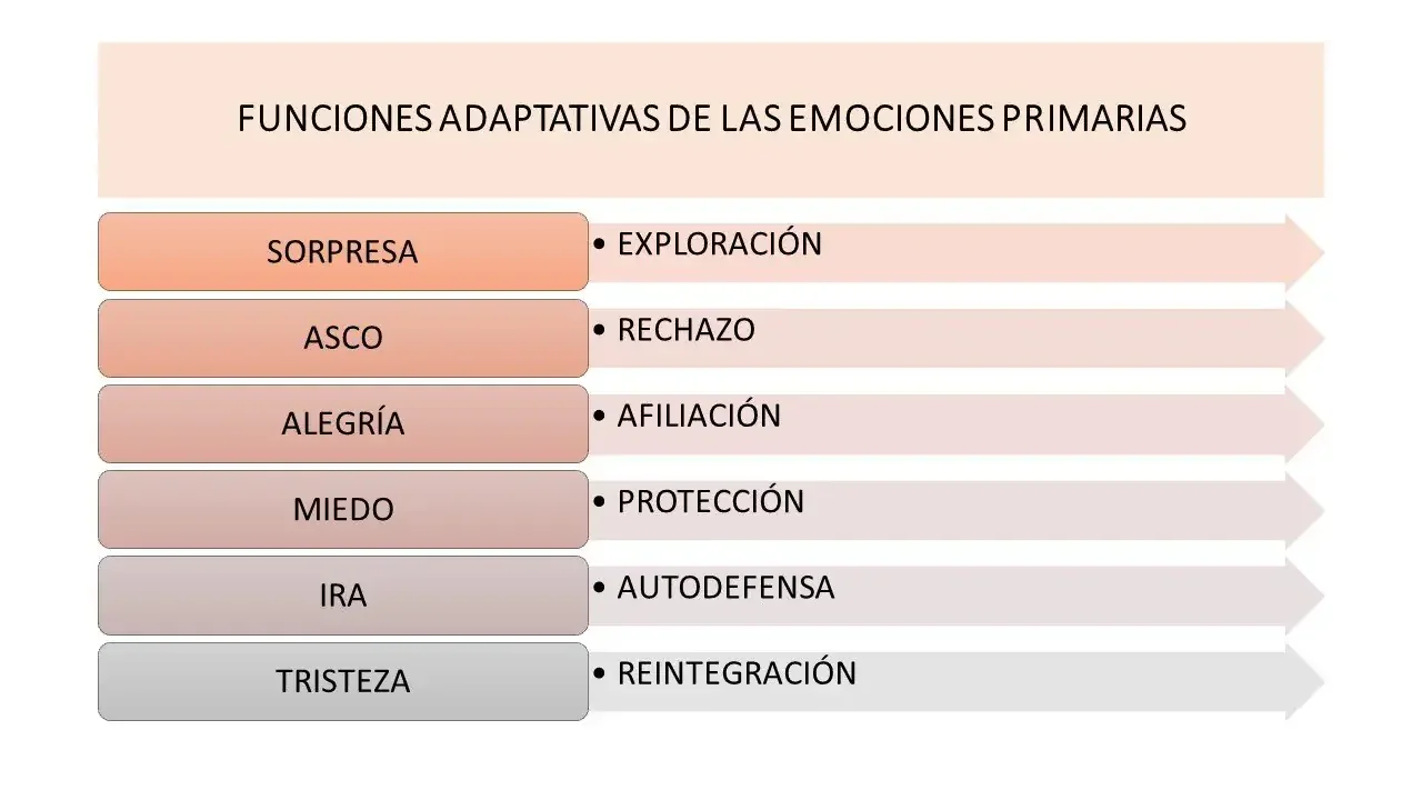 tabla que indica las principales emociones y su funcion adaptativa