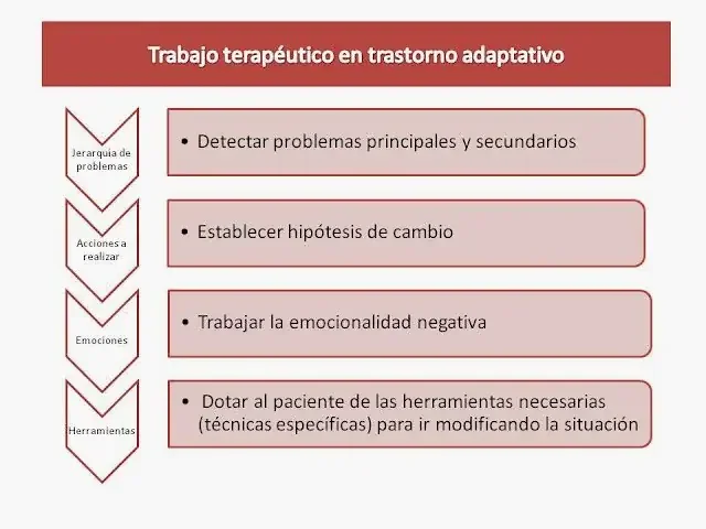 jerarquia de acciones a realizar en el tratamiento de un trastorno adaptativo