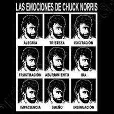 chuck norris, con la misma cara inexpresiva y carteles de diferentes emociones