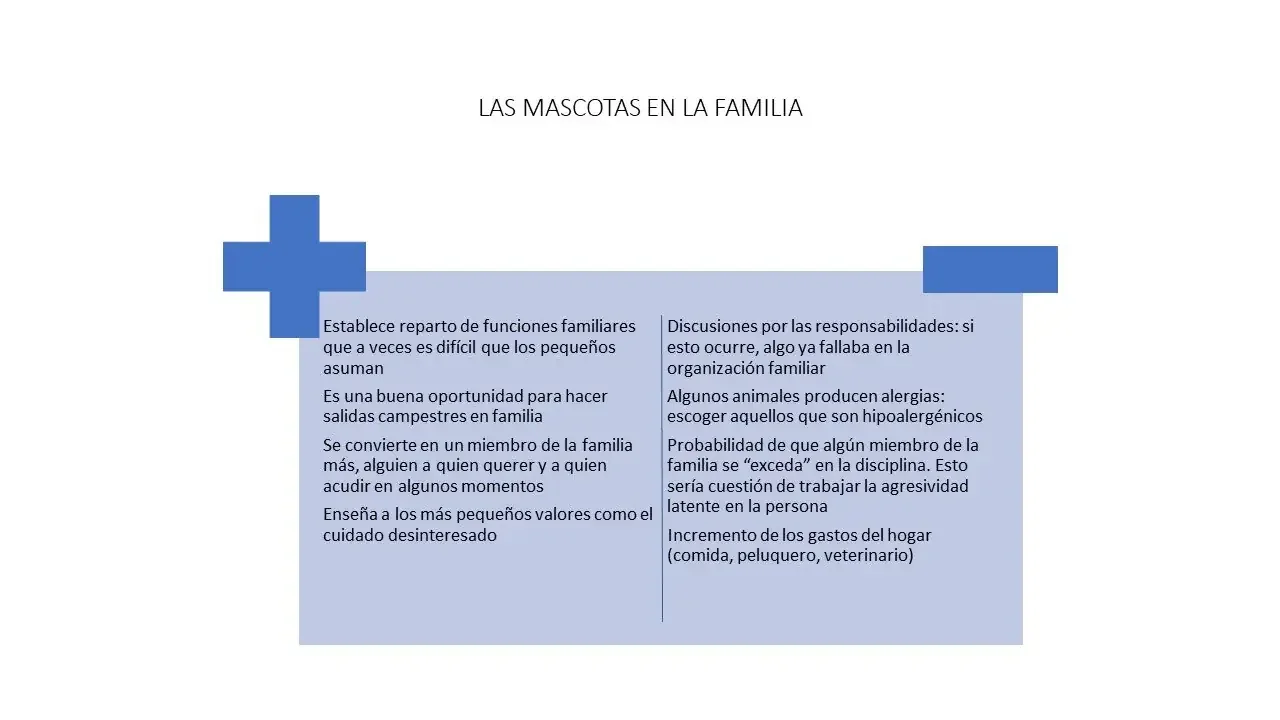 cuadro de los pros y contras a tener en cuenta a la hora de tener una mascota en la familia