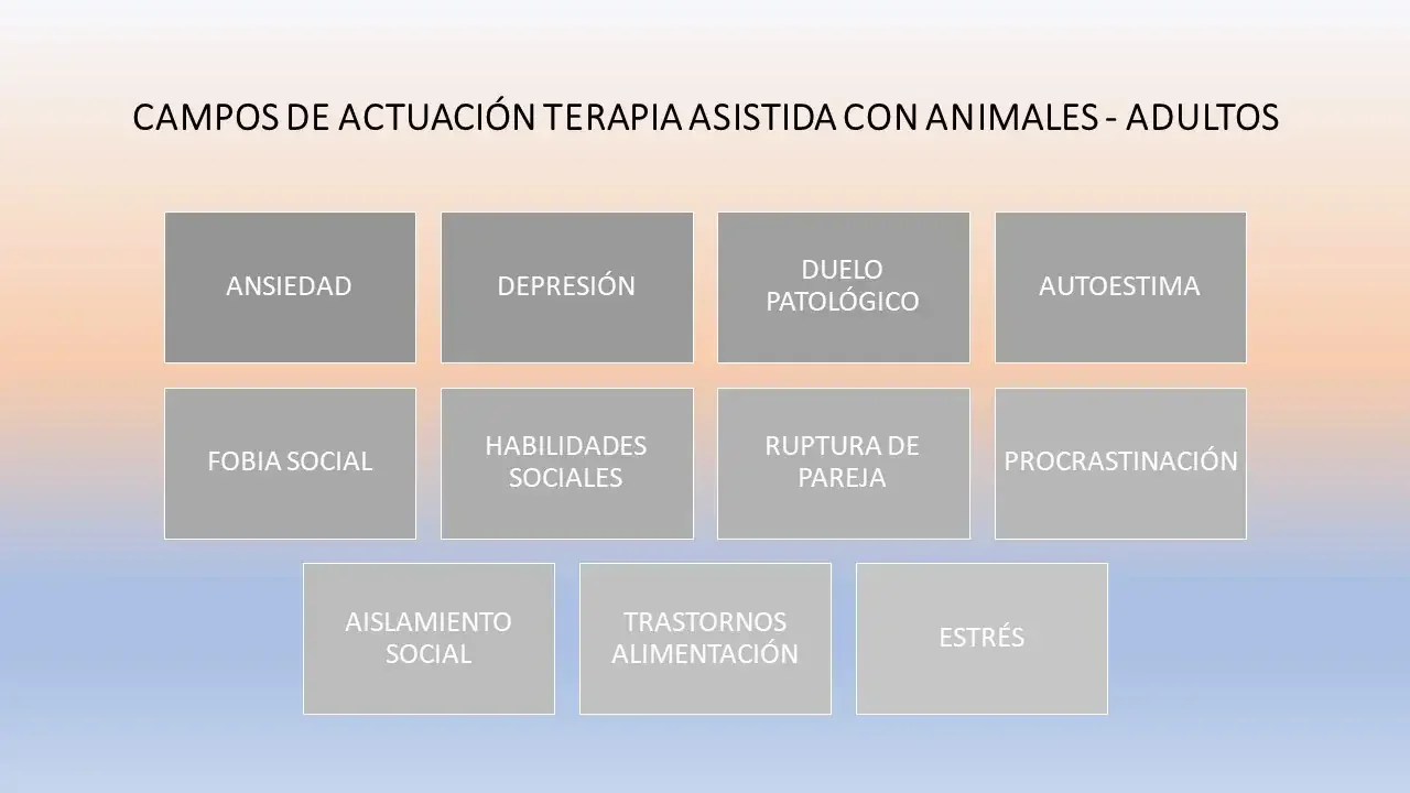 Distintas situaciones en las que un animal de compañía puede ayudar a un adulto