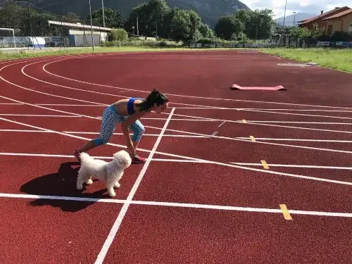 el perro se hace parte de la vida de un adulto