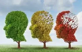 existen escalas que miden el deterioro cognitivo de las personas, como la GDS