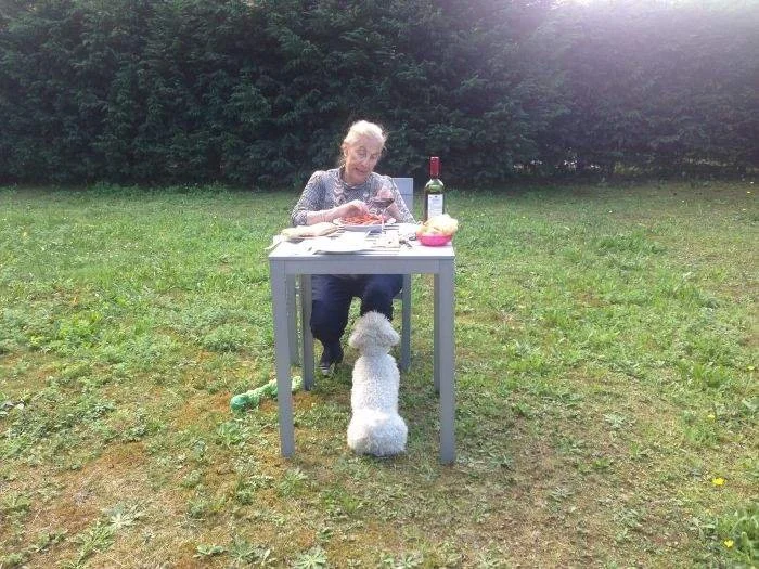 un animal puede ser el compañero perfecto para una persona que vive sola