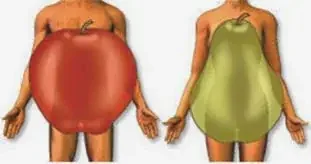 Los estudios señalan que la grasa abdominal es un factor predisponente a tener un accidente coronario