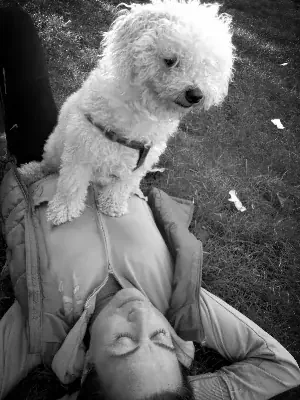 Encariñarse con tu perro o gato será exactamente devolverle lo que sienten por ti