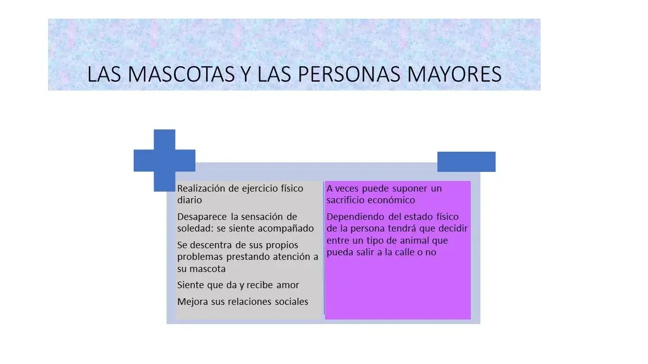 pros y contras de las mascotas para personas mayores