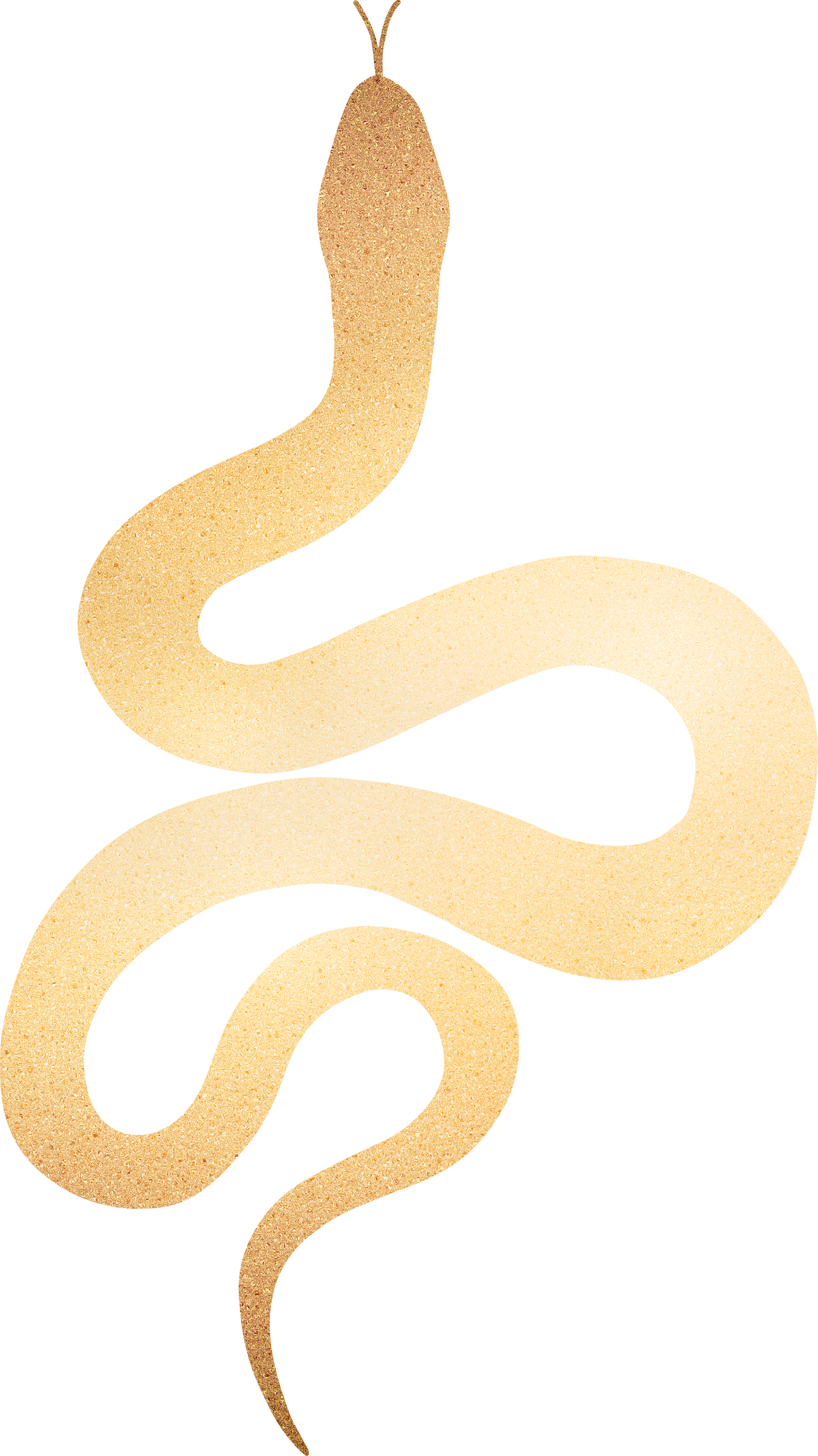 Snake Shape 04.png