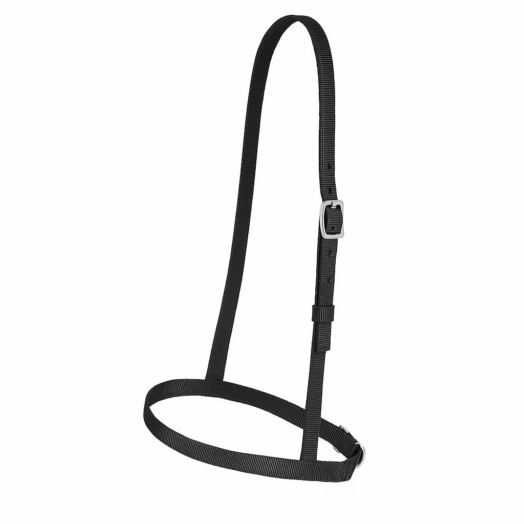 20-Noseband.jpg