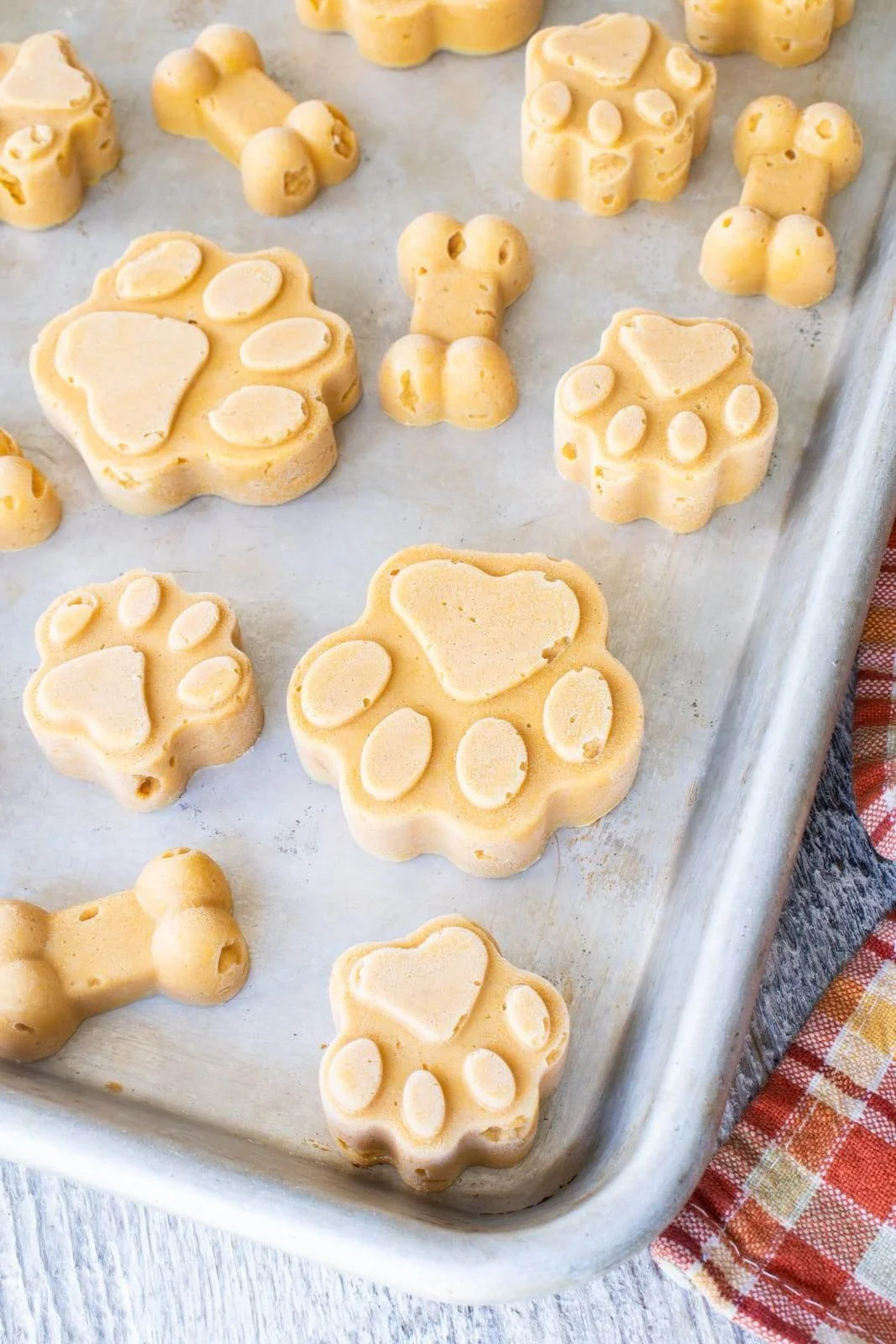 Pupkin Bites
