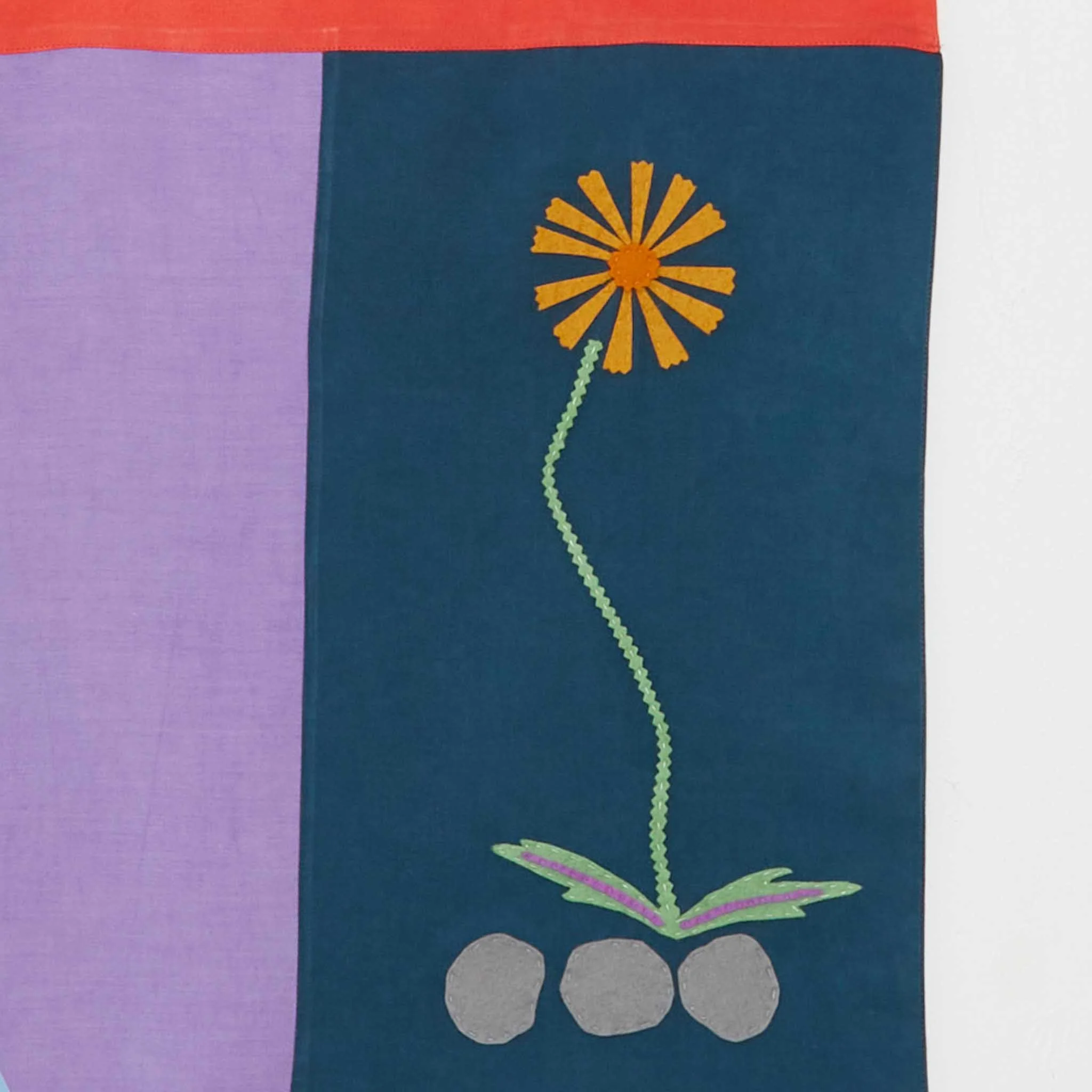 Paricutín Banner Detail5.jpg