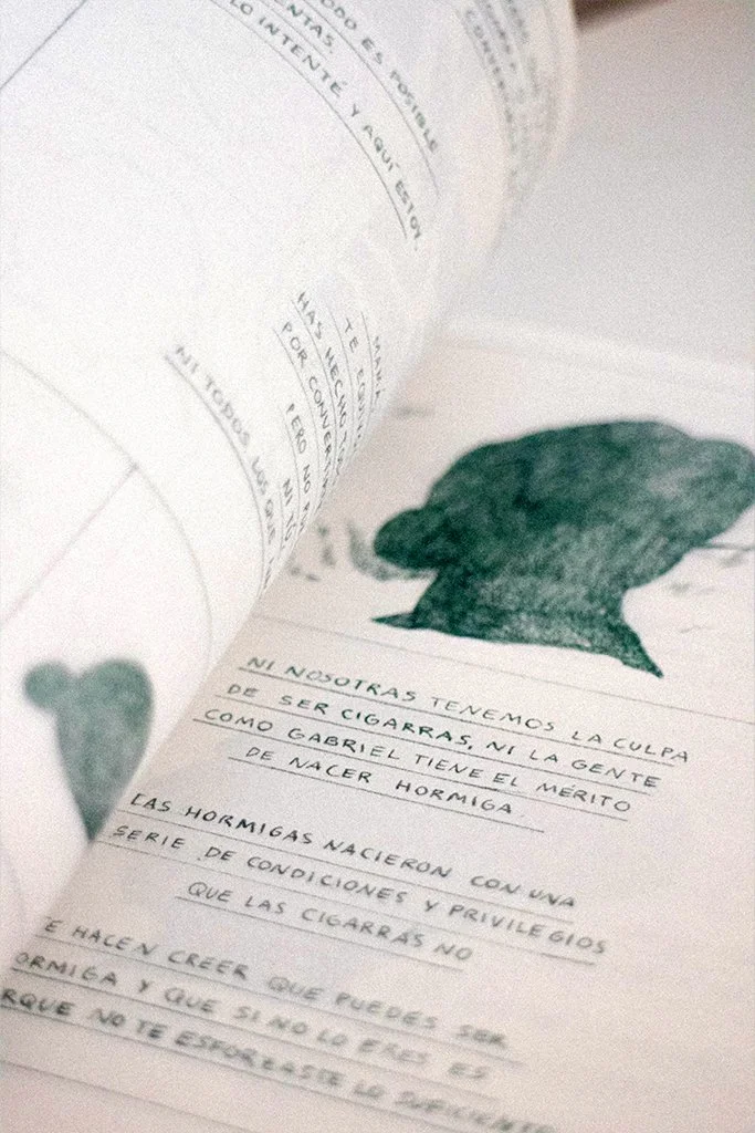 BeatrizGómez_LaCigarraZine_02.jpg (Copy)