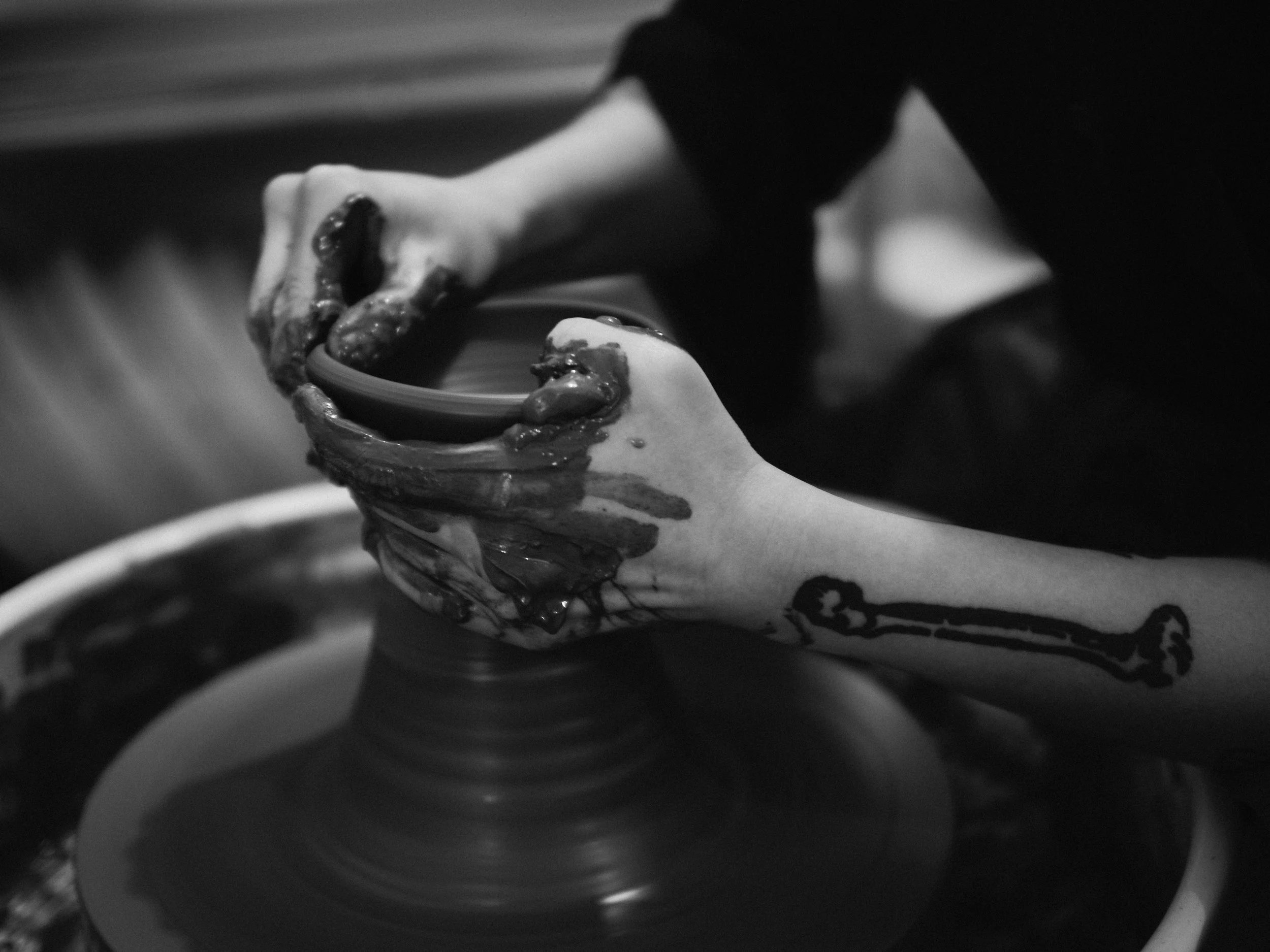 _2120654.jpg