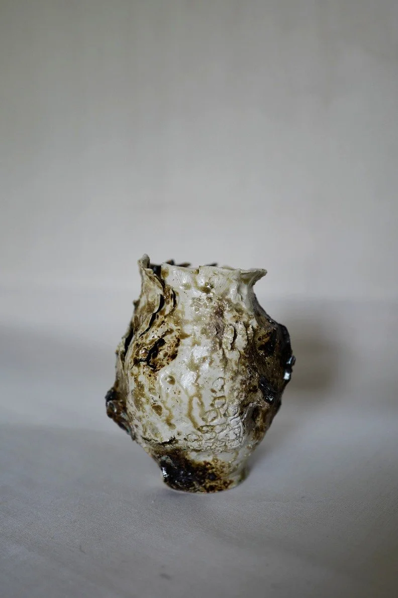 Vase - sea seed 1.jpg