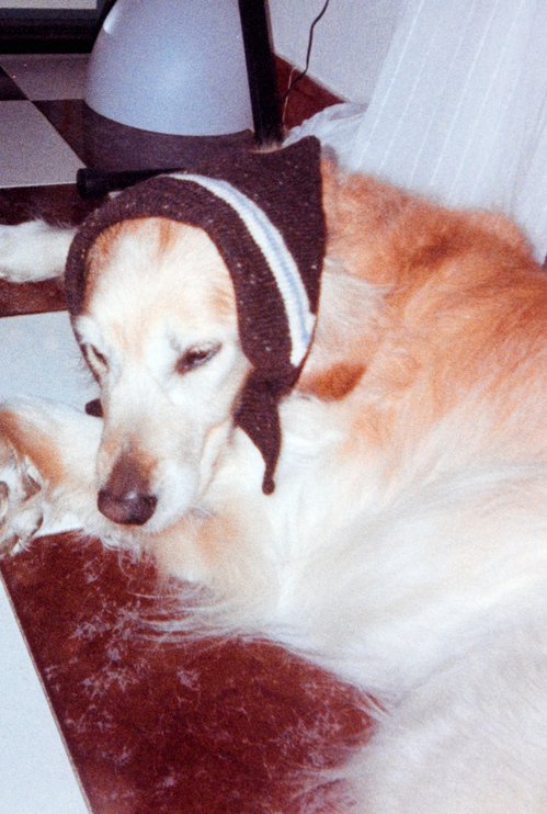 BeatrizGómez_WoodBandana_05R.jpg