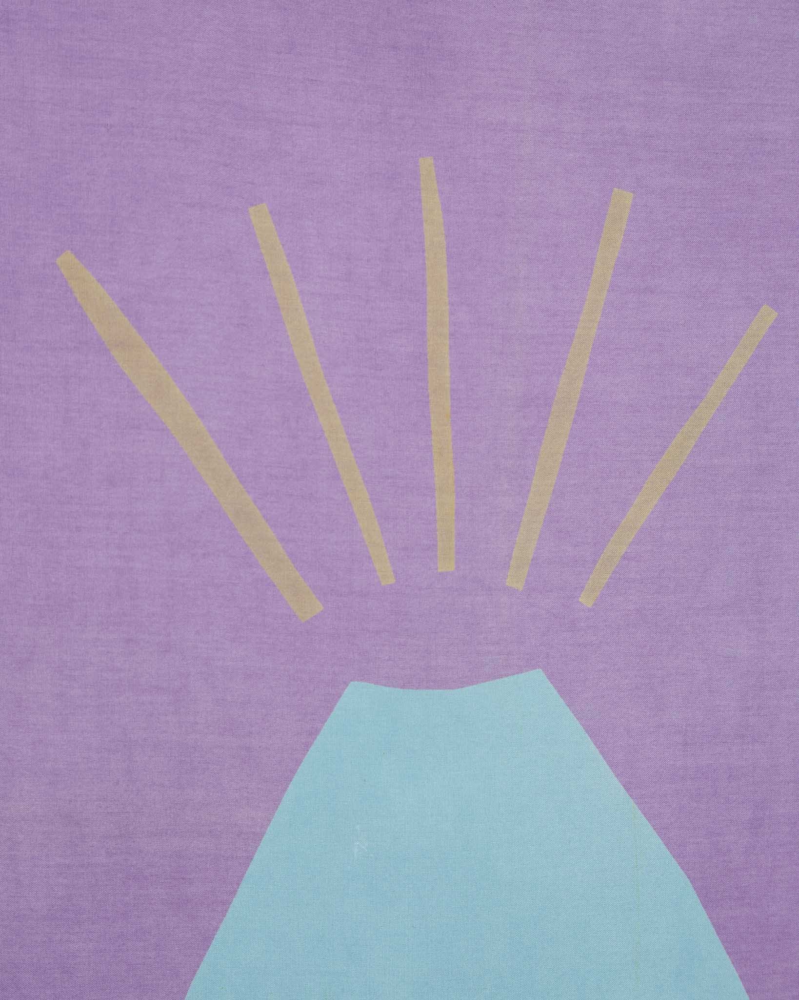 Paricutín Banner Detail3.jpg