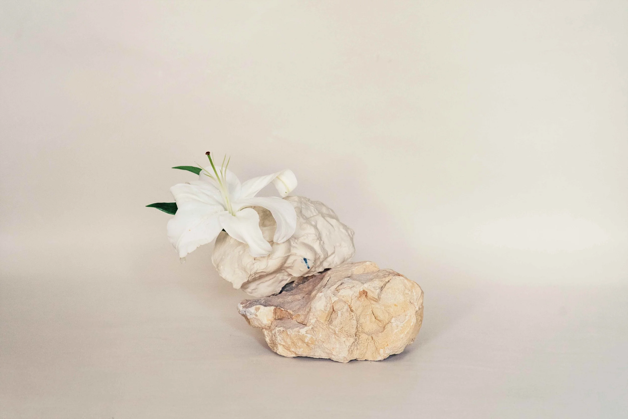 Stone Bloom vase 2.jpg