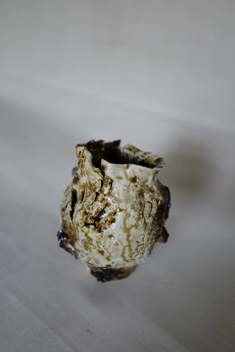 Vase - sea seed 4.jpg