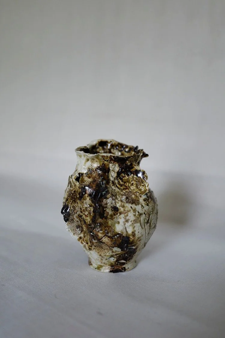 Vase Sea Seed
