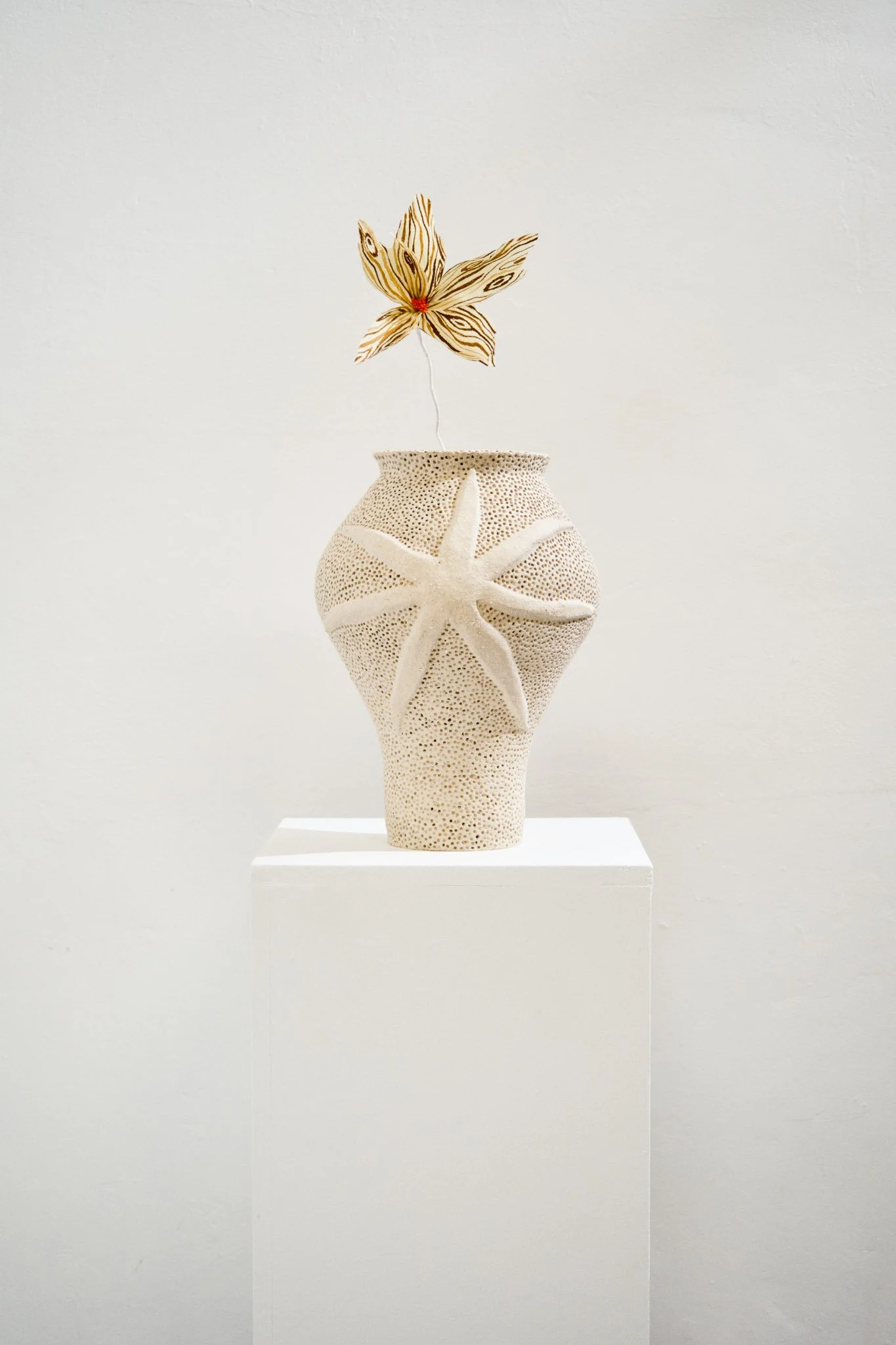 cataloguemermaidtestetalo 31.jpg