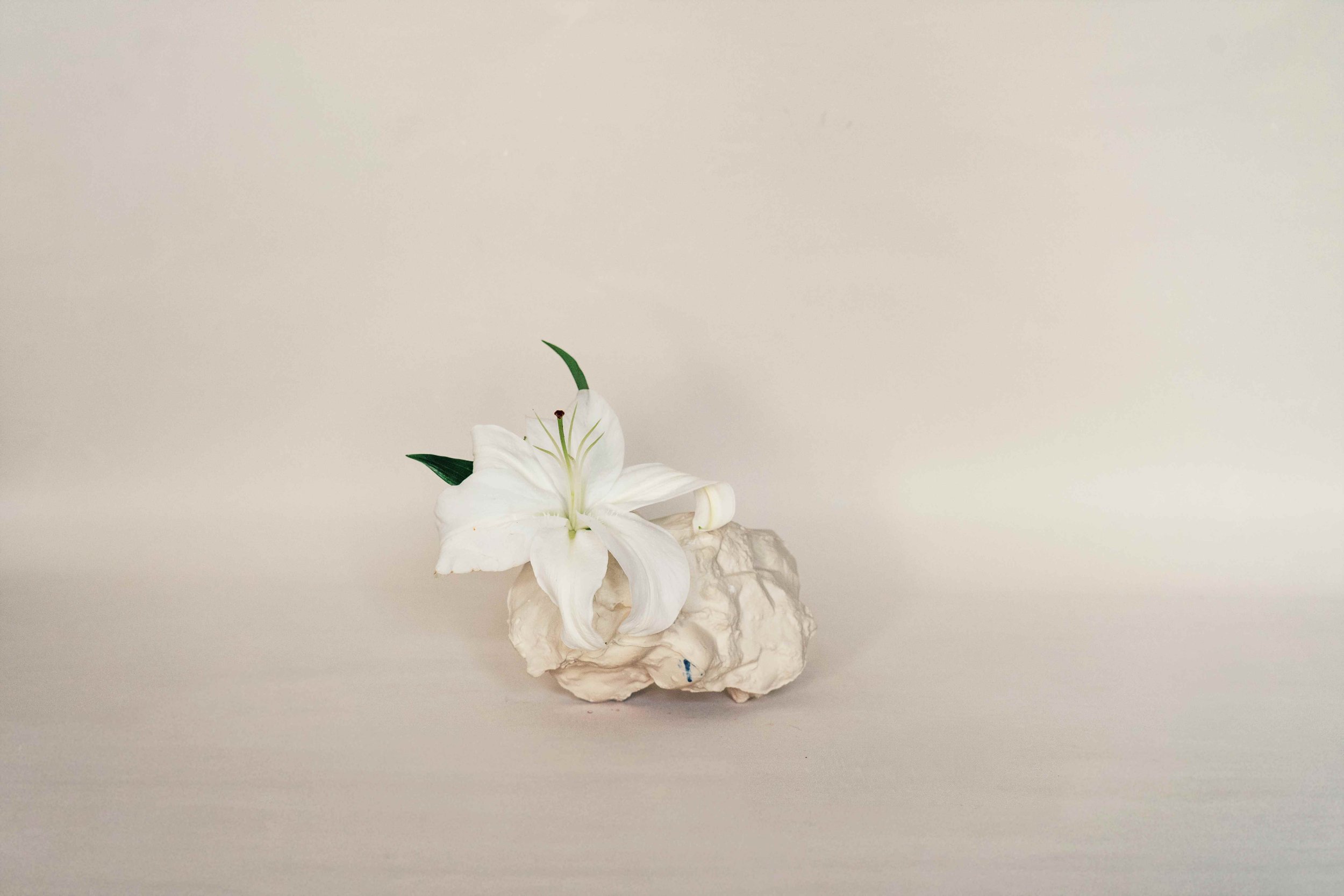 Stone Bloom Vase3.jpg