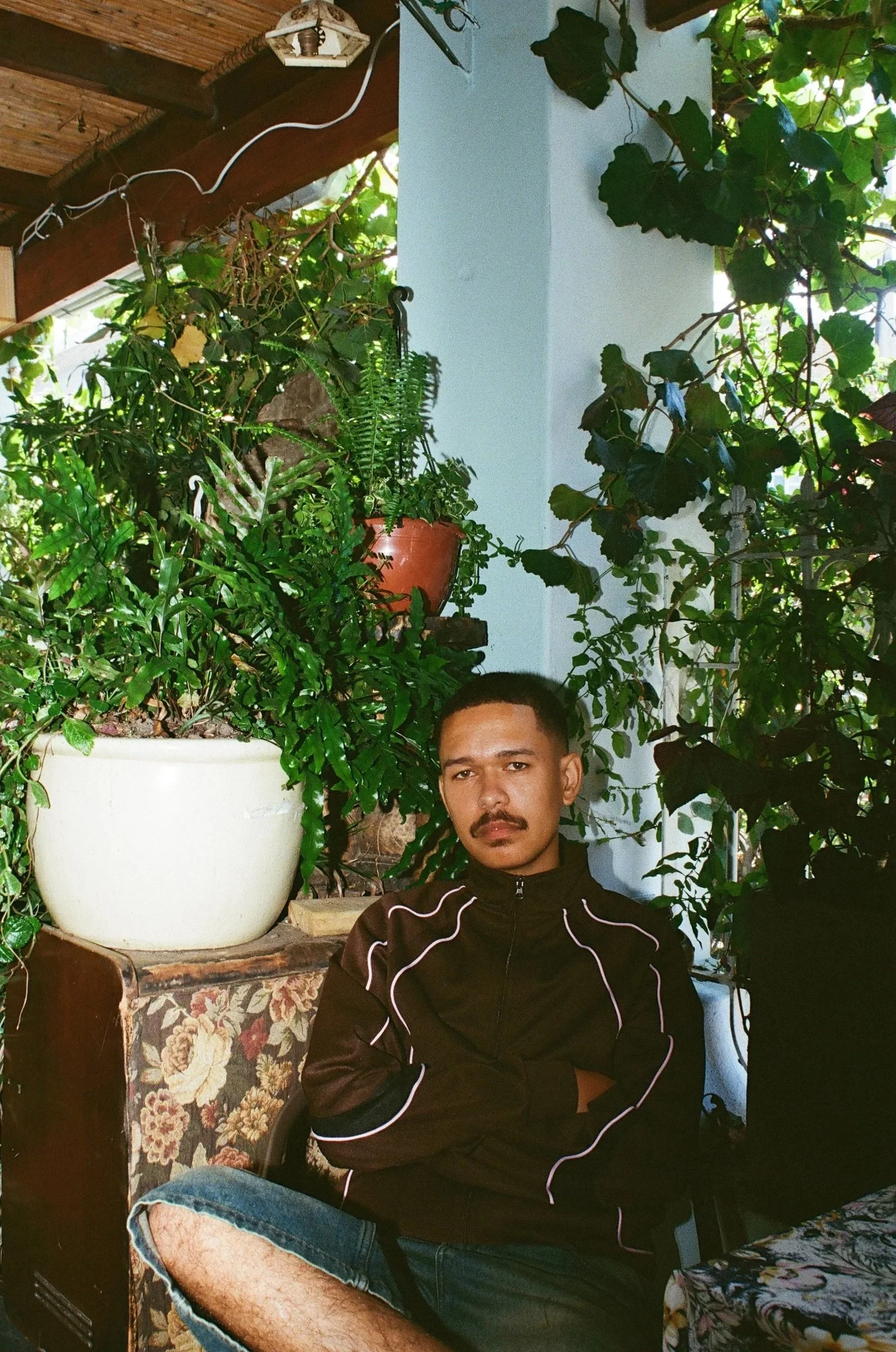 Rapper Jarry Pitboi sitting indoors near a corner filled with lush green plants and large potted foliage.