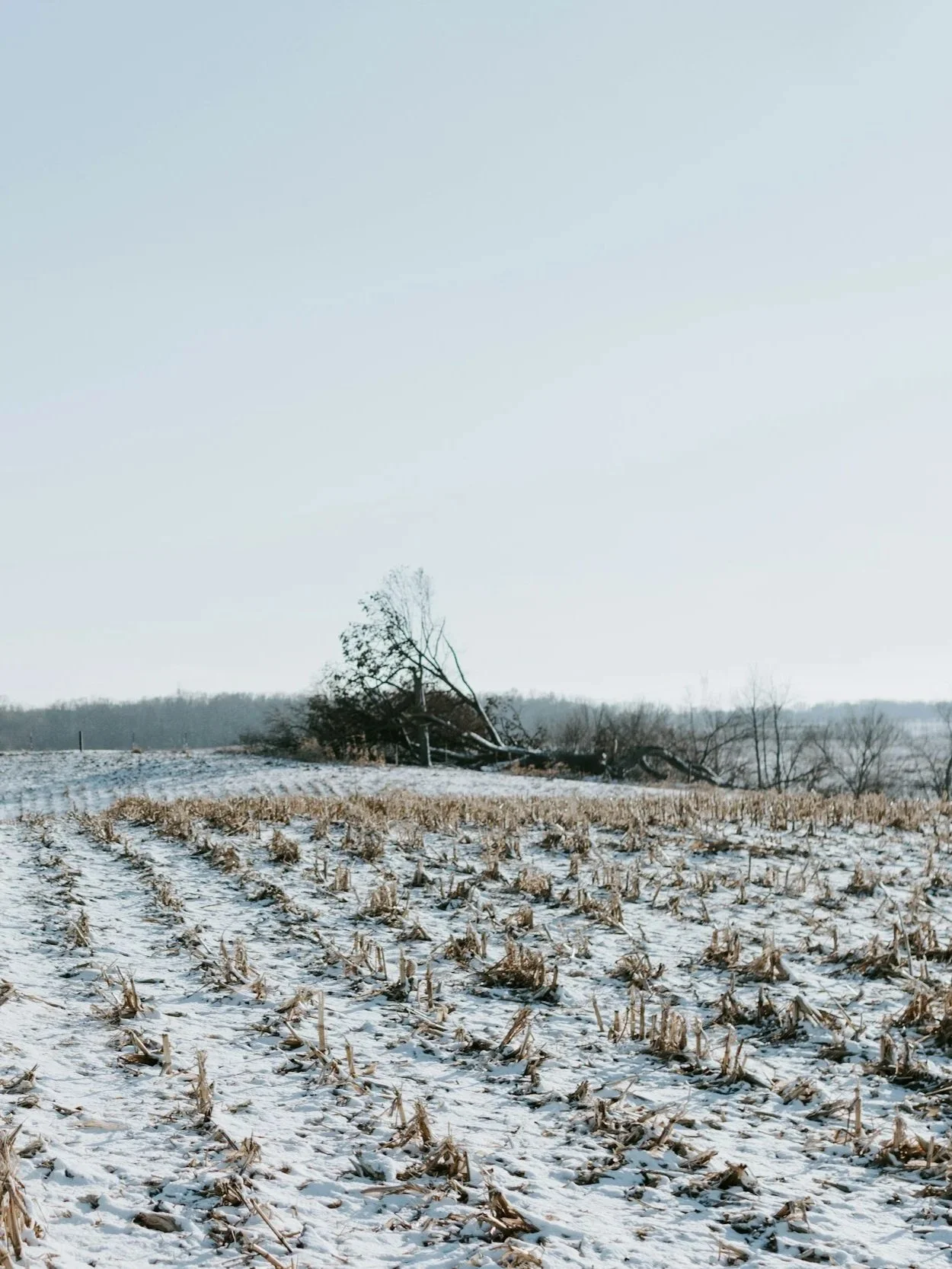 Winter on farm with snow on ground
