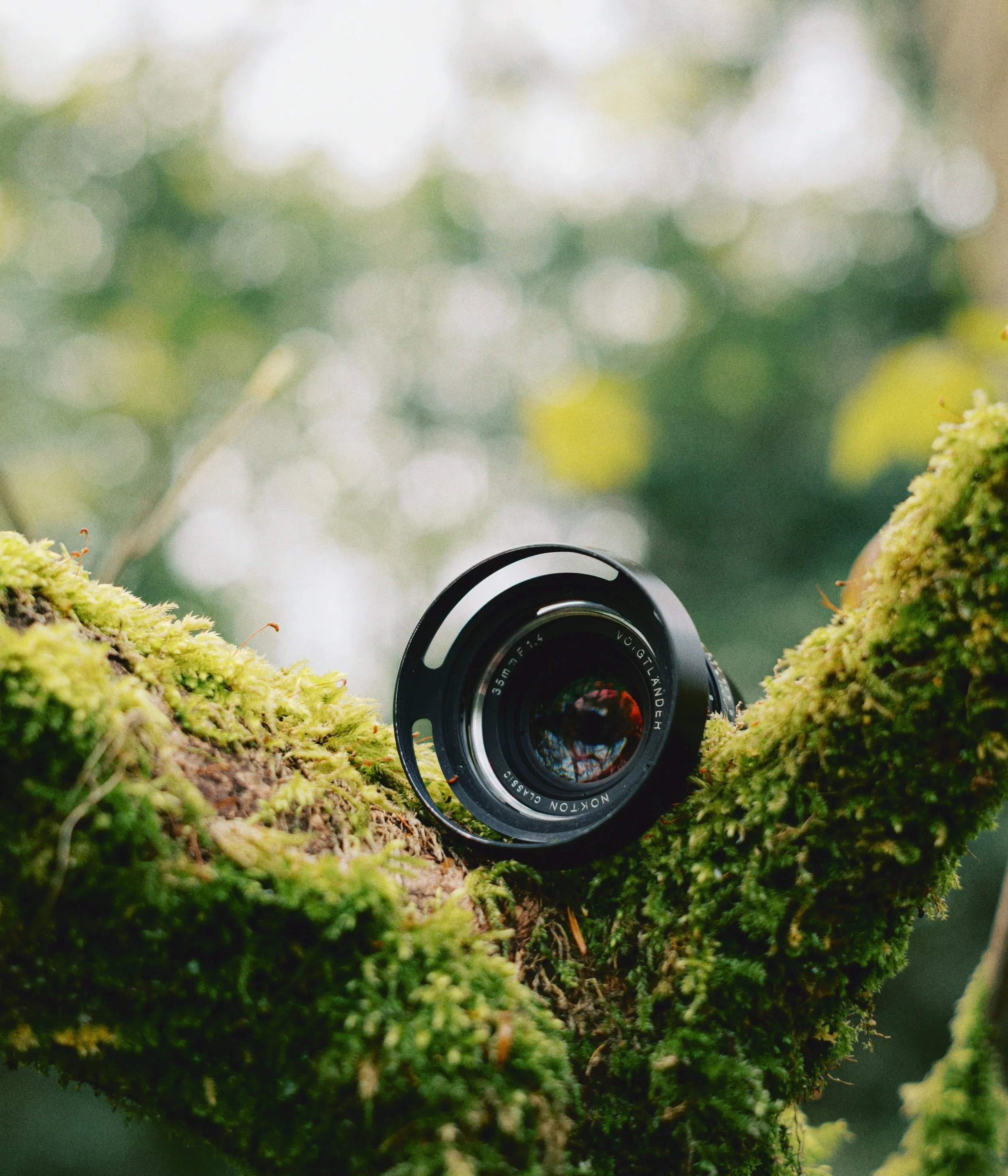 Choosing Lenses to Match the Film Look